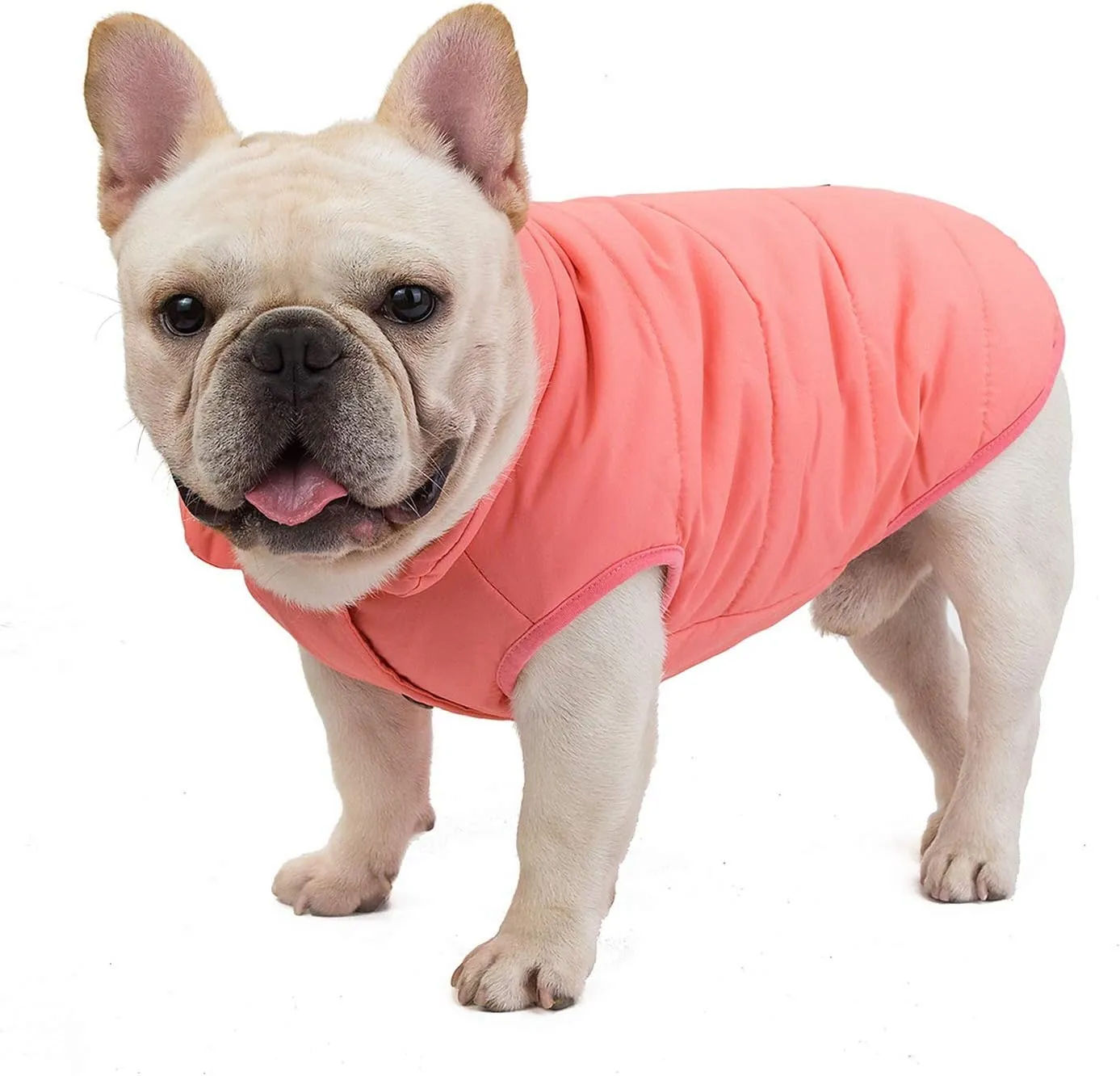 SMALLLEE_LUCKY_STORE Pet Fleece Lined Bomber Vest Jacket Down Coat for Bulldog Fat Dogs Winter Warm French Bulldog Clothes,Watermelon Red Size S